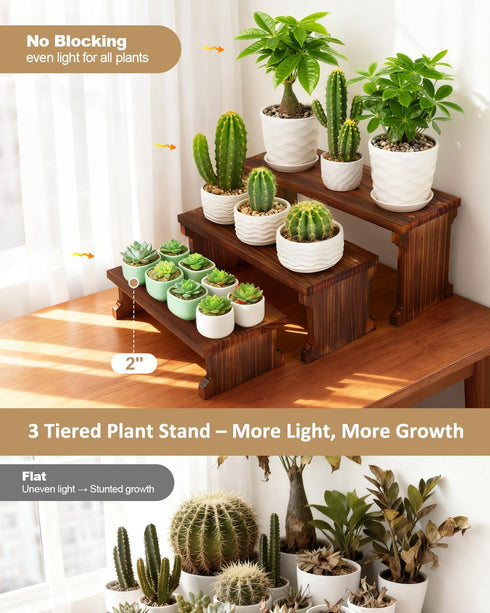3 5.9" Countertop Tier Table Top Plant Stand, Flower Shelf Holder Rack, Wood Display Stand for Window