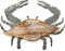 PARISLOFT 3D Wood and Galvanized Ocean Theme Wall Hanging Decor (Crab), Rustic
