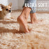 3x8 OLANLY Machine Washable Runner Rugs for Hallway, Soft Fluffy Shaggy Bedside Rugs for Bedroom, Living Room, Indoor