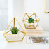 3 Pack Mkono Artificial Succulent in Mini Glass Geometric Terrarium, Miniature Potted Faux Plant Bookshelf Desk Boho