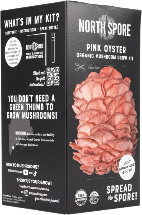 (4 lbs) North Spore Organic Pink Oyster Mushroom Spray & Grow Kit | USDA-Certified Organic, Non-GMO, Beginner-Friendly