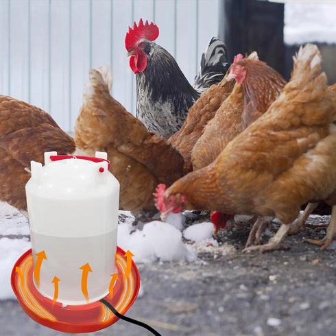 (2 Pack) Chicken Water Heater Cord, Freeze-Proof Heated Waterer for Chickens & Poultry, Safe Low-Watt Heating Cable