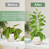 OYOEETD 17.5 Inch Plant Trellis Indoor for Climbing Plants,Metal Trellis,Small Garden Trellis for Potted Plants,Plant
