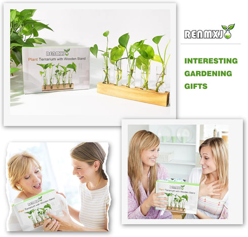 10 Renmxj Plant Propagation Station, Plant Terrarium with Wooden Stand for Hydroponics Plants Office Decor Unique