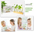 10 Renmxj Plant Propagation Station, Plant Terrarium with Wooden Stand for Hydroponics Plants Office Decor Unique