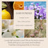 396 16.9oz(500ml), 10 st. Reed Diffuser Oil Refill, Baby Powder(Also Known as Refreshing Air), Fiber Reed Sticks/Home