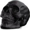 READAEER Resin Skull, Human Head Model for Home Decoration, Halloween Statue, Skull