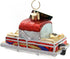Old World Christmas Glass Blown Ornaments for Christmas Tree, Fisherman Collection Pontoon