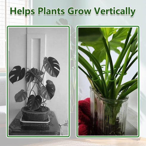 Yiqianhome 8PCS 4 Climbing Plant Stem Supports Sizes, Reusable Plastic Stakes Indoor/Outdoor Garden Flower Growth