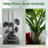 Yiqianhome 8PCS 4 Climbing Plant Stem Supports Sizes, Reusable Plastic Stakes Indoor/Outdoor Garden Flower Growth