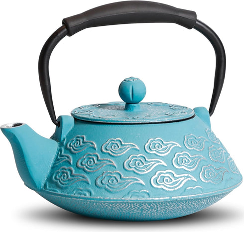 Cast Iron Teapot, Japanese Tea Pot with Infuser for Loose Leaf, Tea