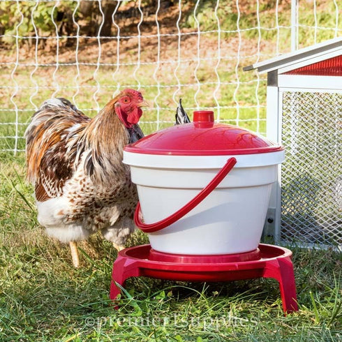 1 3 Premier Quick Clean Poultry Waterer for Chickens & Poultry - Gallon