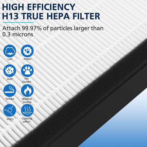FLT4825 True HEPA Filter B Replacement Compatible with G-guardian Air Purifier Models AC4825 AC4300