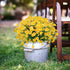 Artificial Daisies Flowers 4 Bundles Yellow UV Resistant Fake Foliage Greenery Faux Plants for Indoor Outdoor Decor