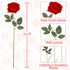 Luyue 10PCS Artificial Roses Flower with Stems, Realistic Long Stem Faux Rose for Valentine's Day Wedding Home Decor