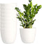 Youngever 8 Pack 5.5 Inch Plastic Planters, White Indoor Flower Plant Pots with Drainage for All House Plants