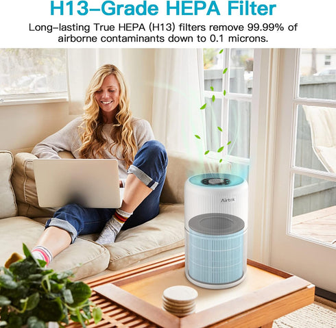 AP0601 Air Purifier Replacement Filters, 4-IN-1 High-Efficiency HEPA Filter (4 Pack)