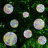 36 Pcs Anti-Collision Window Decals, Rainbow Stickers Circle Window Clings to Save Birds from Collisions