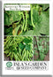 Kentucky Wonder Pole Bean Seeds (Phaseolus vulgaris) 30+ Non-GMO Heirloom Seeds for