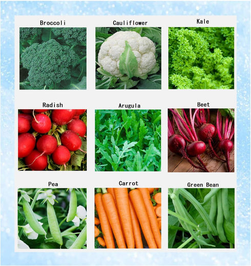 Apexmode Premium Winter Vegetable Seeds Collection for Planting Organic Non-GMO Heirloom Seeds Radish,