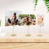 Table Number Holders, Place Card Holders, Small Photo Holders for Tables, 8PCS for Centerpieces, Wedding Reception
