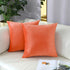 mixeoo Comfy Peach Coral Throw Pillow Covers - Set of 2 Decorative Velvet Cushion Cases for Sofa, 18 x 18 Inch