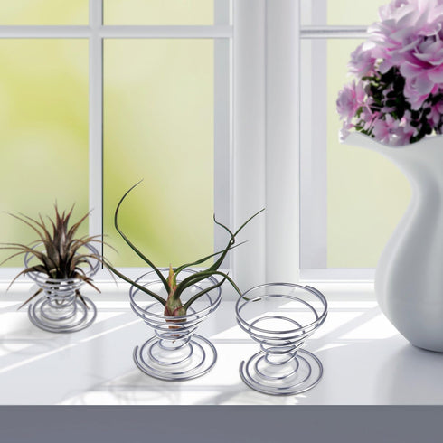 6 Shappy Pieces Air Plant Holder Air Plant Live Holders Outdoor Stainless Steel Tillandsia Base Container Display Rack