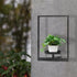 Set 2, Wall Plant Holder Floating Shelves for Wall of Wall Planters for Indoor Plants - Premium Metal Hanging Plant