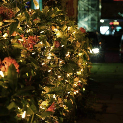 18ft 50 8 MAGOTAN Christmas Lights, Battery Operated String Lights LED Modes LED Mini Lights with Timer for Christmas