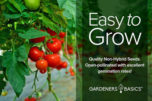 8 Tomato Growing Kit Grow Varieties of Delicious Tomatoes Non-GMO Heirloom Seeds, Complete Indoor & Outdoor Tomato Seed