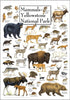 Earth Sky + Water - Mammals of Yellowstone National Park Poster