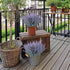 GTIDEA 4pcs Artificial Flowers, Flocked Plastic Lavender Bundle, Fake Plants for Home Kitchen Office Decor