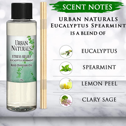 Urban Naturals Stress Relief Eucalyptus Spearmint Reed Diffuser Oil Refill - Includes Replacement Reed Sticks