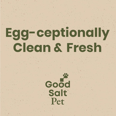 32 Clean Republic Good Salt Pet Fresh Nest Egg Wash Spray, Natural Cleaner for Freshly Laid Eggs, Made in the USA