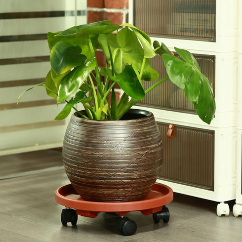 3 Packs 13" Large Plant Caddy with Wheels Rolling Plant Stands Heavy-duty Plastic Plant Roller Base Pot Movers Plant