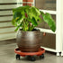 3 Packs 13" Large Plant Caddy with Wheels Rolling Plant Stands Heavy-duty Plastic Plant Roller Base Pot Movers Plant