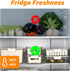 Portable Fruit Storage Containers for Fridge, 4 Compartments Snack Box Container, BPA-Free Divided Serving Tray with