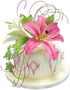 PME LY1002 Veined Lily Plunger Cutters, Set of 2, Large Size, White
