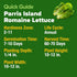 Pack, 7000+ HOME GROWN Romaine Lettuce Seeds, Paris Island Bulk Lettuce Seeds for Planting, High Germination Heirloom