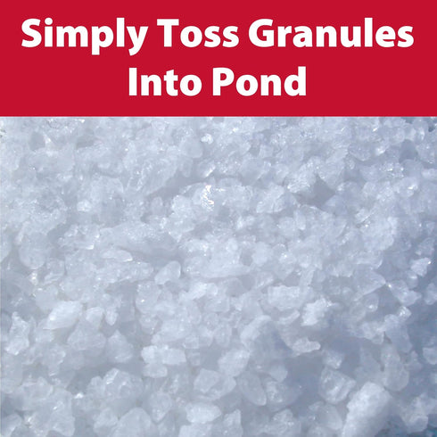 10 The Pond Guy Pond Salt - Pounds
