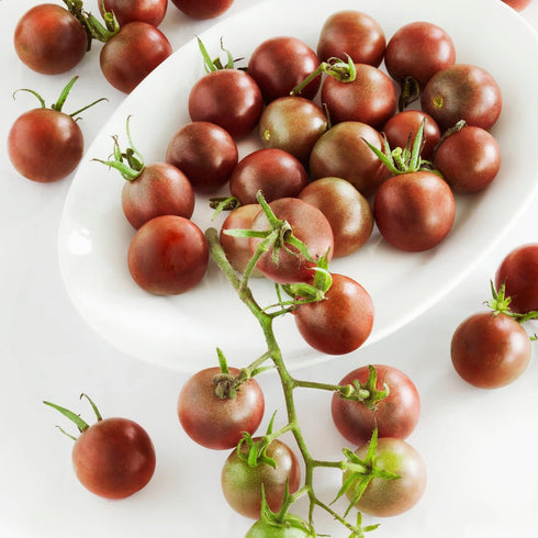 19.3 oz., 4-Pack, Bonnie Plants Black Cherry Tomato, Live Plants