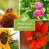45 Sow Right Seeds - Complete Garden Seed Collection for Planting - Non-GMO Heirloom Vegetable, Herb and Flower