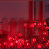 2 Pack Valentines Day Decor, Total 100LED 8 Modes Battery Operated w/Timer