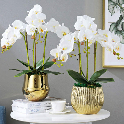 FagusHome 6 PCS Green Artificial Phalaenopsis Orchids Leaves, Faux Orchids Leaf 11 Inches