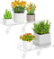 Lifewit 6" Extra Wide & Strong Window Plant Floating Shelves 2 Pack,