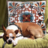 Decorative Couch Pillow Covers Set of 2, 18x18 inches, Embroidered Pattern Square Throw Pillows for Sofa Bed Chair