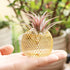 ROJAX Pack 3 3 5 5 of Air Plant Metal Stand, Black, Rose Gold, Indoor/Outdoor, in H x in W x in D