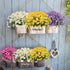 Artificial Daisies Flowers 4 Bundles Yellow UV Resistant Fake Foliage Greenery Faux Plants for Indoor Outdoor Decor