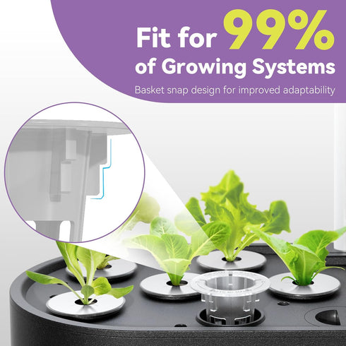 400+ Seeds(7-Pods) LYKOCLEAN Red Romaine Lettuce Seed Pods for AeroGarden, Ahopegarden, iDOO Hydroponics Growing System