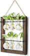 Mkono Propagation Station Wall Hanging Glass Planter, Flower Bulb Vase Plant Terrarium
